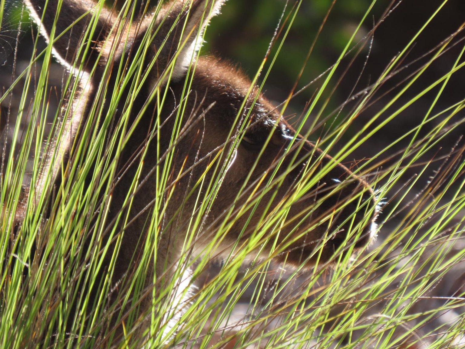 IMG_0395-copy-2-1536x1152