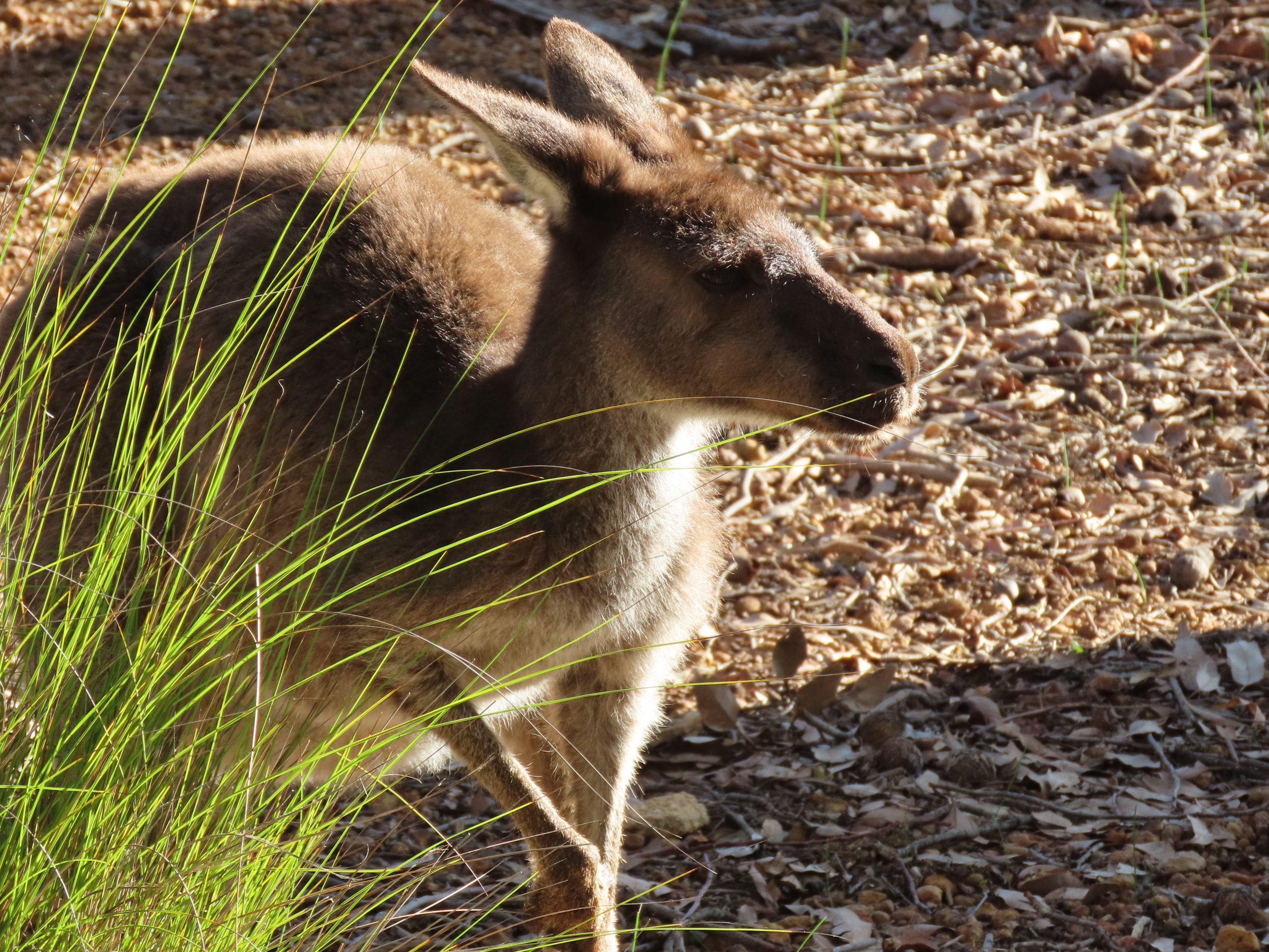 IMG_0397-copy-scaled