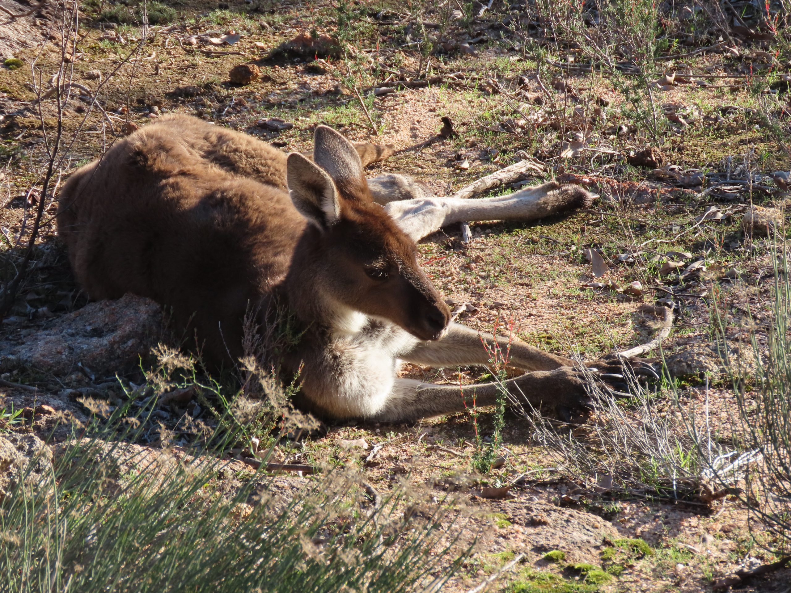 IMG_0425-copy-scaled