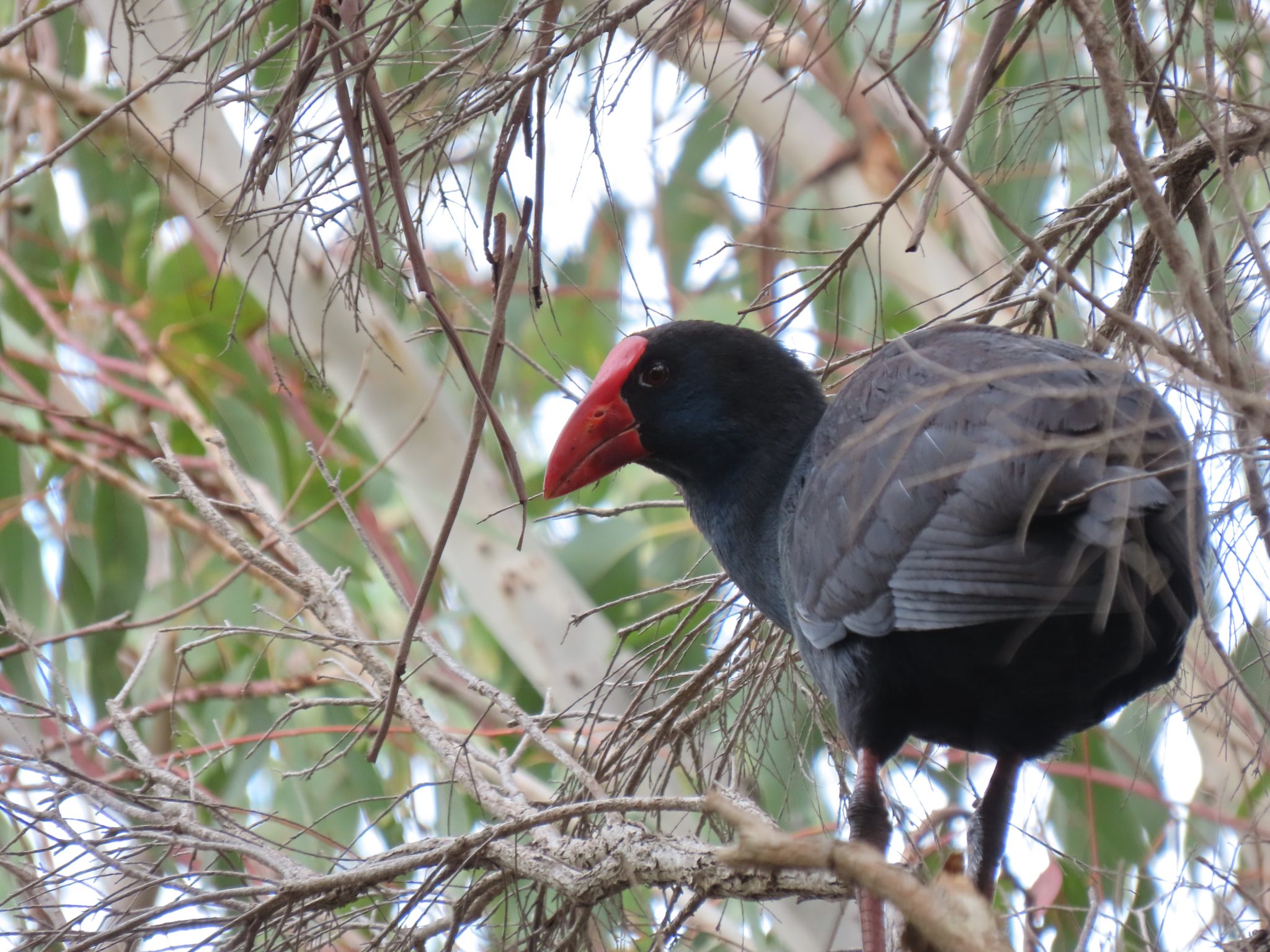 IMG_0740-copy-2048x1536