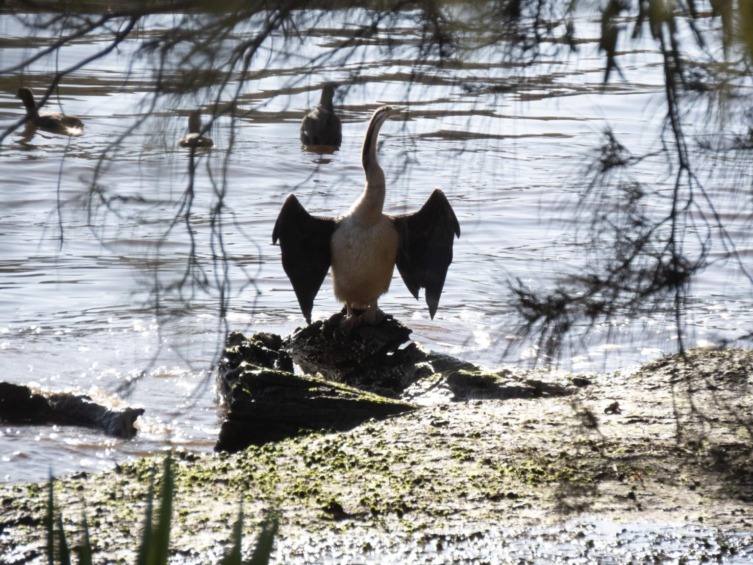 IMG_0833-copy-1536x1152