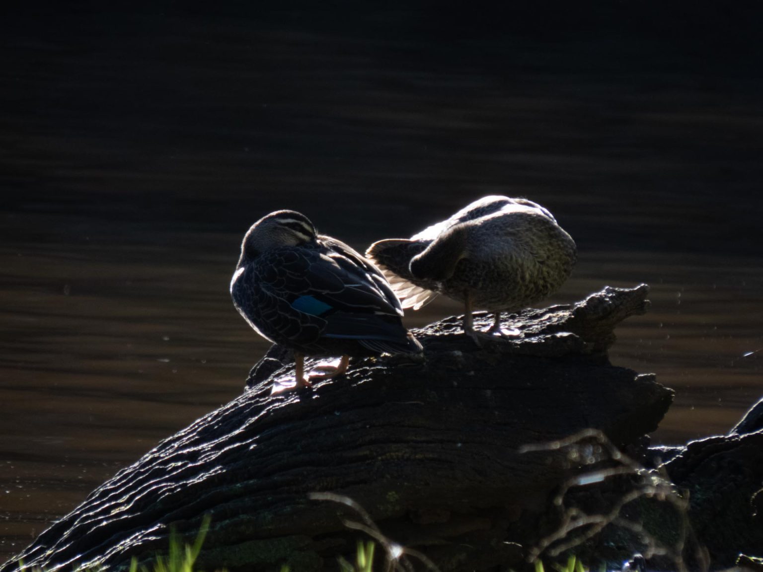 IMG_0856-copy-1-1536x1152