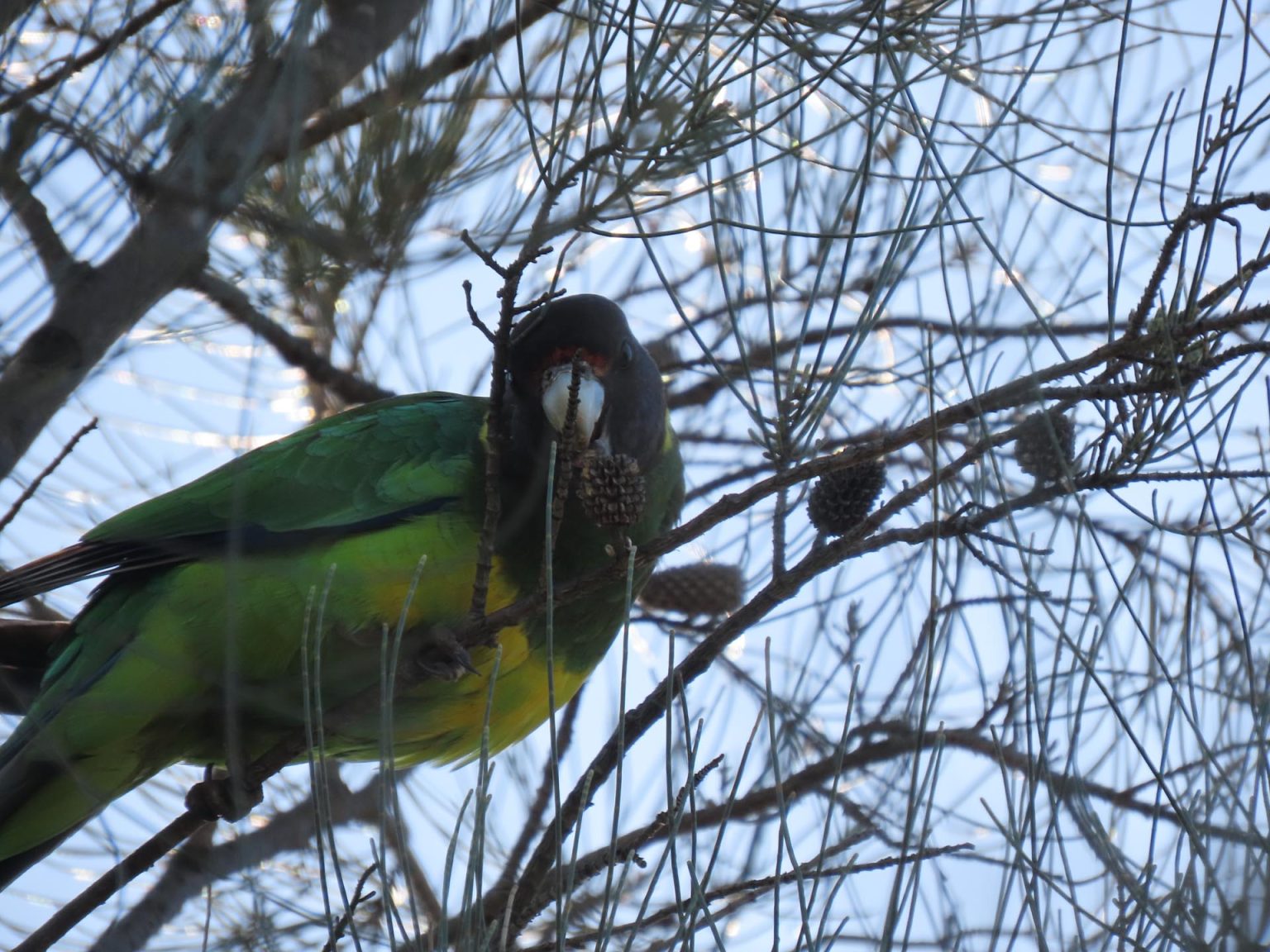 IMG_0861-copy-1536x1152