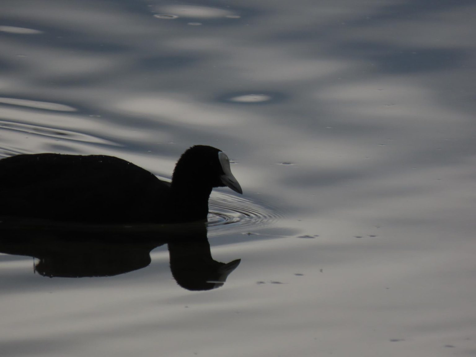 IMG_0893-copy-1-1536x1152